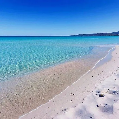 Sardegna Affitto 2*